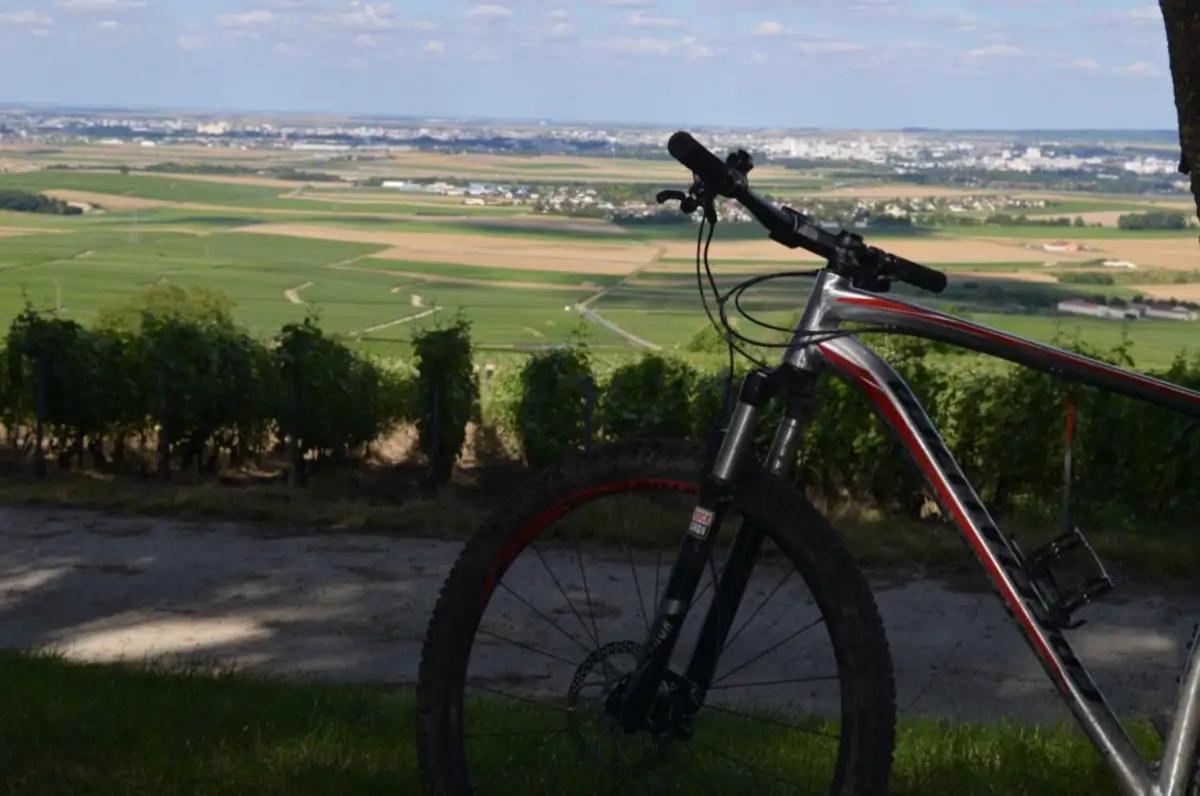 Agreable Maison Petit Jardin A 7 Minutes De Reims Pargny-les-Reims Екстер'єр фото